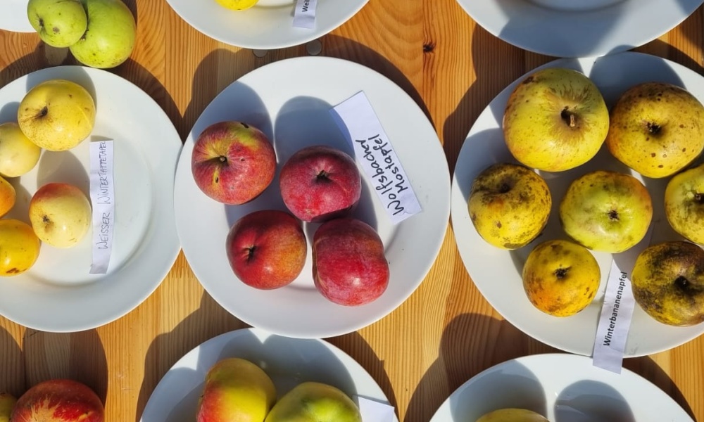 ©Moststraße Die LEADER-Region Moststraße präsentiert im Zuge des Haager Wochenmarktes die regionale Obstsortenvielfalt.